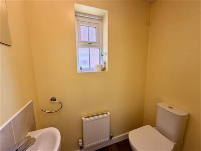 Picture 7
